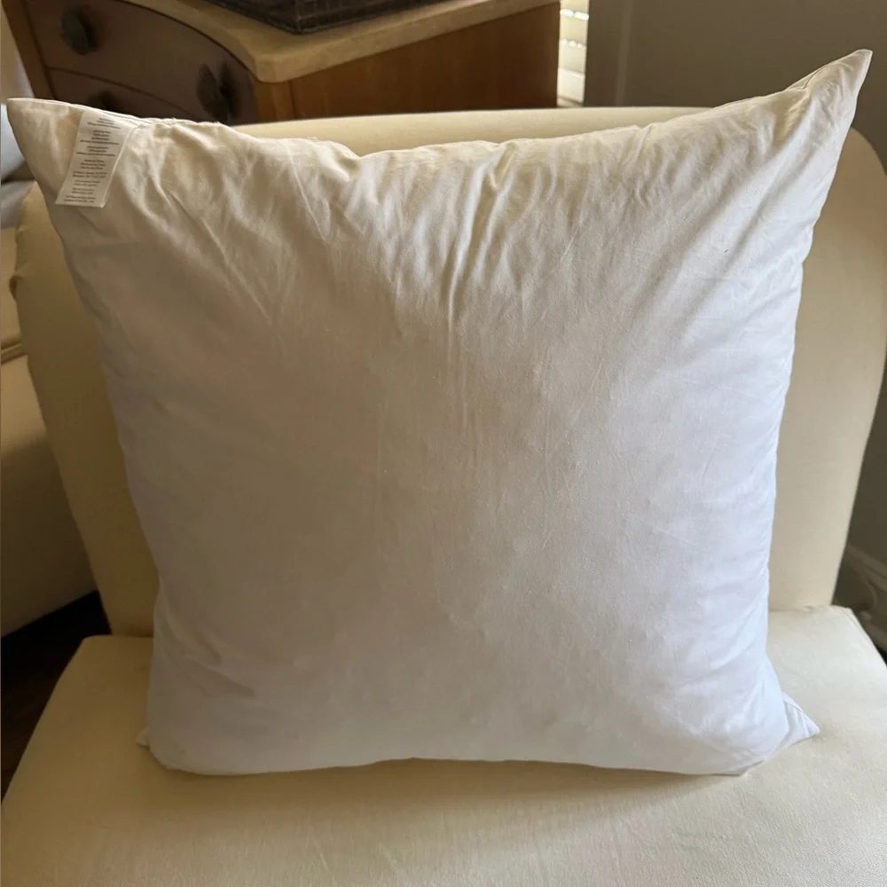 West Elm Waterfowl Feather Pillow insert 24”x24”